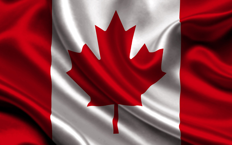 Canada Immigration Form